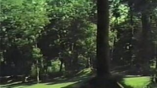 Couple Having Sensuous Sex in a Public Park porn video